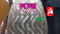 PICTURE PERFECT 2017