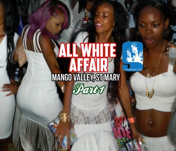 all white mango valley201511