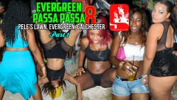 EVERGREEN PASSA 8 1