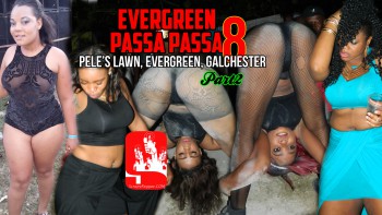 EVERGREEN PASSA 8 2